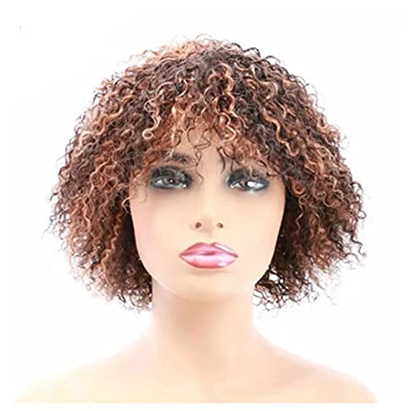 Anna & Sam Afro Kinky Curly Human Hair Glueless Wig Full Head Afro Wave Curls Wig Brazilian Virgin Hair with Bangs 250% Density (Natural Colour), Black (T4-27)| Free Wig bag & Hair Net