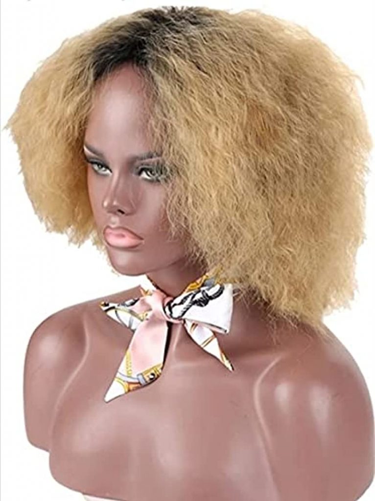 Short Fluffy Hair Afro Kinky Curly Heat Resistant Wig (Blonde)