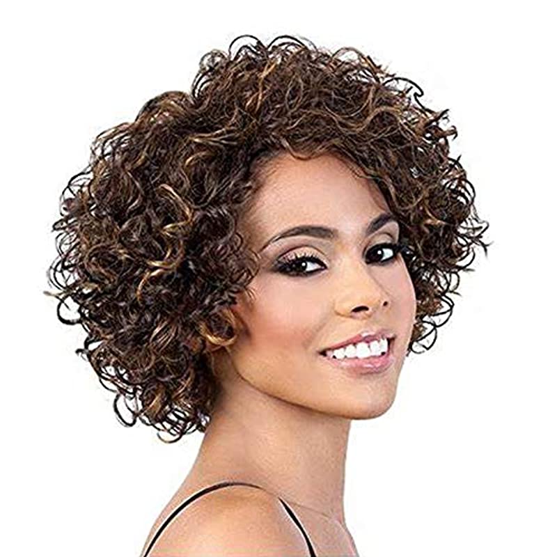 UDU Ombre Curly Wigs for Black Women, Human Hair Wigs Curly Wig with Bangs Light Brown Curly Wig Short Curly Wig Colored Curly Wigs Piano Color (# P4/27)